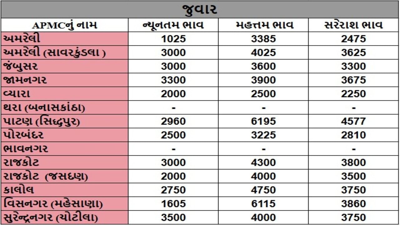 જુવારના તા.03-06-2025ના રોજ APMCના ભાવ રૂ.1025 થી 6195 રહ્યા.