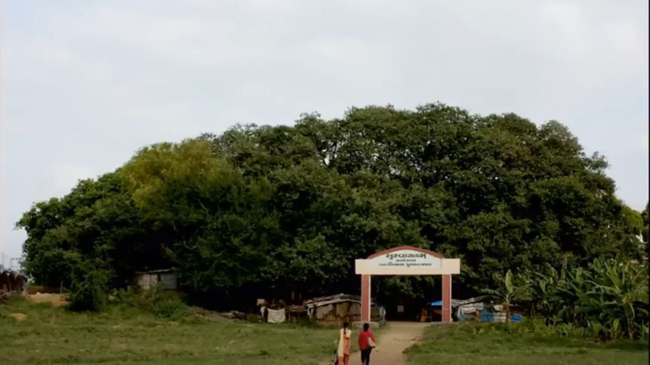 History of city name What is the history behind the name Kabirvad, know the whole story