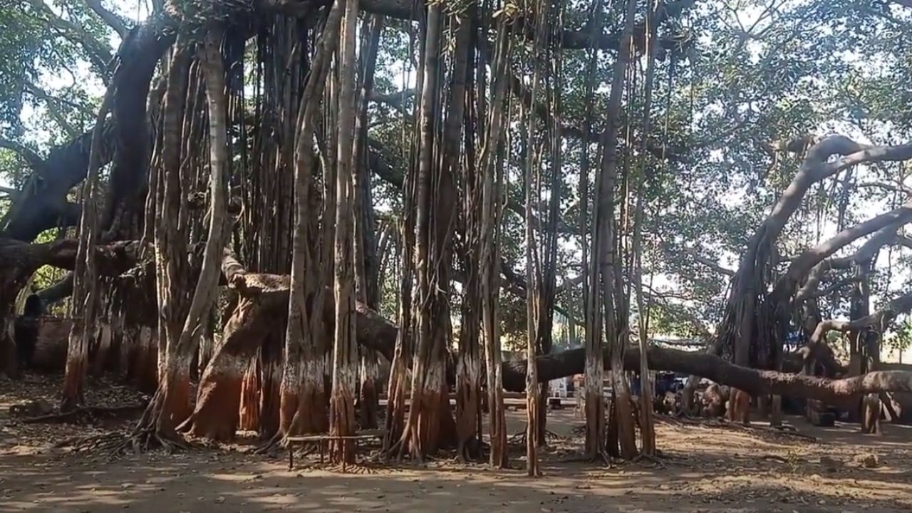 History of city name What is the history behind the name Kabirvad, know the whole story