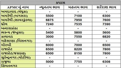કપાસના તા.19-06-2025ના રોજ APMCના ભાવ રૂ.3000 થી 8220 રહ્યા.
