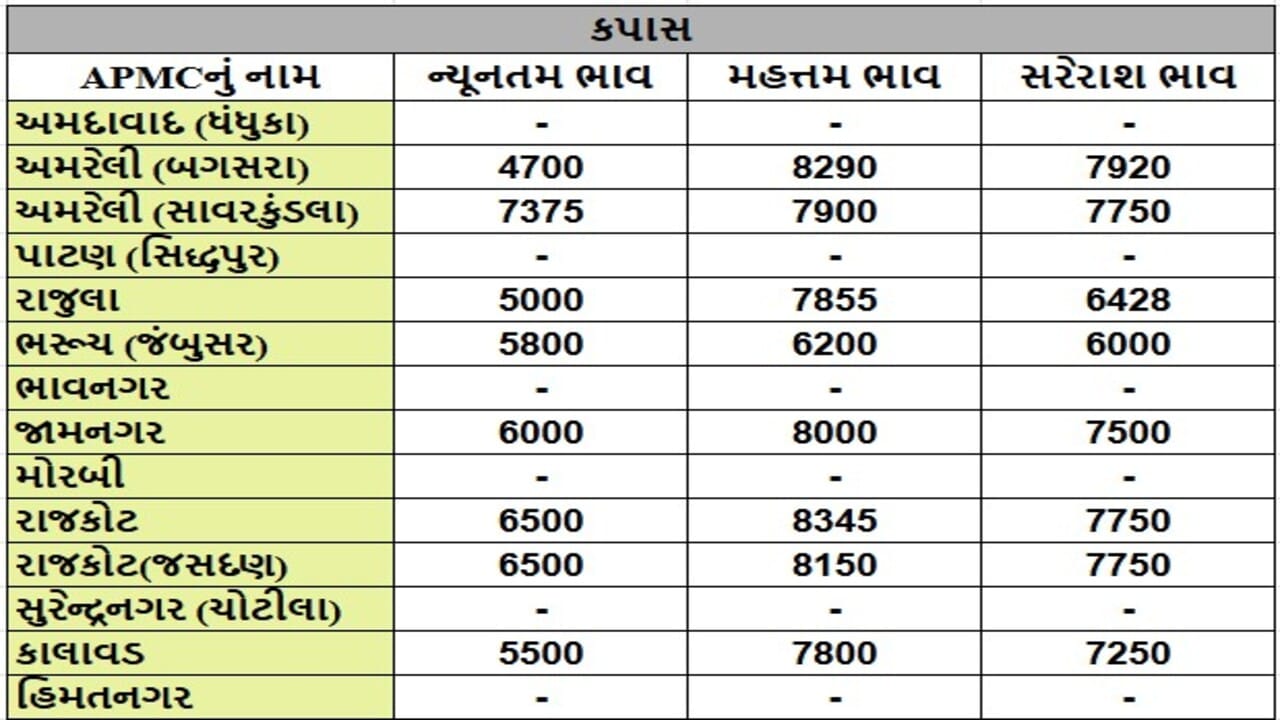 કપાસના તા.24-06-2025ના રોજ APMCના ભાવ રૂ.4700 થી 8345 રહ્યા.