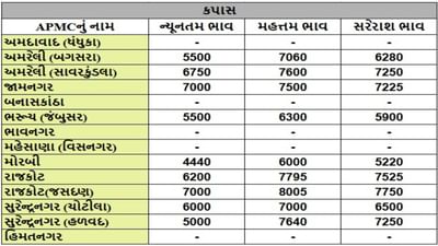 કપાસના તા.06-06-2025ના રોજ APMCના ભાવ રૂ.4440 થી 8005 રહ્યા.