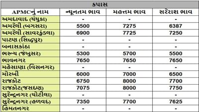 કપાસના તા.10-06-2025ના રોજ APMCના ભાવ રૂ.5300 થી 8000 રહ્યા.