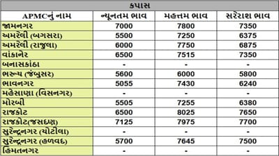 કપાસના તા.11-06-2025ના રોજ APMCના ભાવ રૂ.5055 થી 8025 રહ્યા.