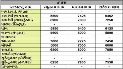 કપાસના તા.13-06-2025ના રોજ APMCના ભાવ રૂ.5000 થી 8090 રહ્યા.