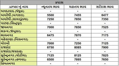કપાસના તા.15-06-2025ના રોજ APMCના ભાવ રૂ.5500 થી 8125 રહ્યા.