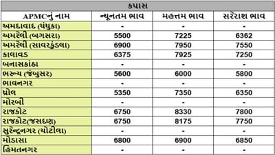 કપાસના તા.18-06-2025ના રોજ APMCના ભાવ રૂ.5350 થી 8330 રહ્યા.
