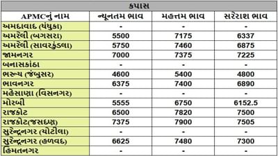 કપાસના તા.03-06-2025ના રોજ APMCના ભાવ રૂ.4600 થી 7900 રહ્યા.