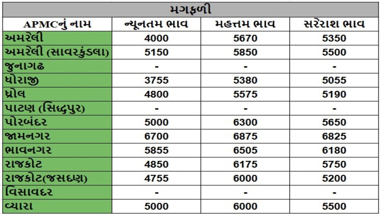 મગફળીના તા.19-06-2025ના રોજ APMCના ભાવ રૂ.3755 થી 6875 રહ્યા.