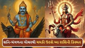 જૂલાઈમાં મંગળ અને શનિનું ગોચર ! ચમકી ઉઠશે આ 3 રાશિના જાતકોની કિસ્મત જૂલાઈમાં મંગળ અને શનિનું ગોચર ! ચમકી ઉઠશે આ 3 રાશિના જાતકોની કિસ્મત