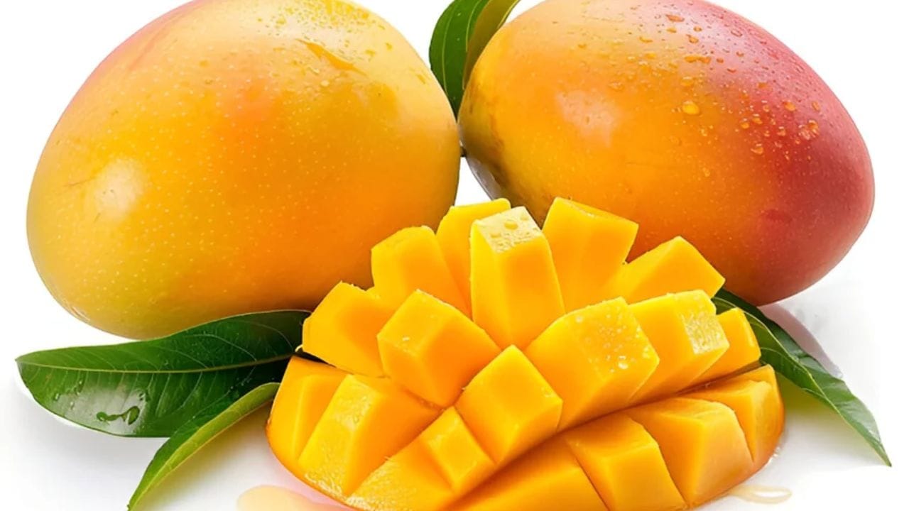 ફ્રિજમાં સ્ટોર કરો (પાકેલા કેરી માટે): જો કેરીઓ સંપૂર્ણપણે પાકી ગઈ હોય અને તમે તેને આગામી થોડા દિવસોમાં ખાવા માંગતા હો, તો તેને ફ્રિજમાં રાખો. તેને ફ્રિજમાં રાખવાથી તેની શેલ્ફ લાઇફ 45 દિવસ સુધી વધે છે. ખાતરી કરો કે કેરીઓને હવાચુસ્ત પાત્રમાં રાખો જેથી તે સુકાઈ ન જાય.
