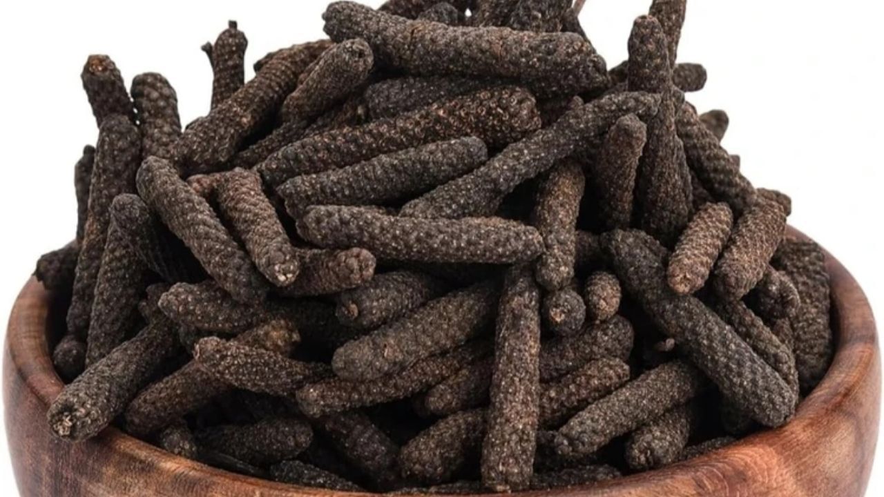 આયુર્વેદમાં પીપળીના ઘણા ફાયદા વર્ણવવામાં આવ્યા છે. પીપળી પાચન માટે ખૂબ જ ફાયદાકારક માનવામાં આવે છે. તે પેટનું ફૂલવું અને ગેસ ઘટાડવા માટે પણ ફાયદાકારક માનવામાં આવે છે. તેનું સેવન કરવાથી પોષક તત્વો યોગ્ય રીતે શોષાય છે.