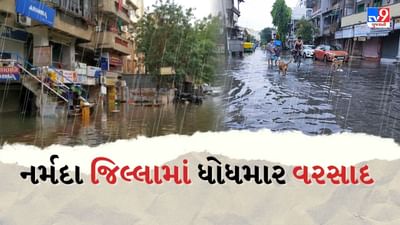 Rain News : નર્મદા જિલ્લામાં મુશળધાર વરસાદ, નાંદોદ તાલુકાનું લાછરસ ગામ સંપર્કવિહોણું, જુઓ Video