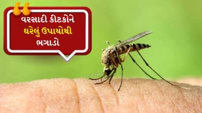 વરસાદી કીટકો-જીવડાંને ભગાડવાના નેચરલ ઉપાયો, ચોમાસામાં સ્વાસ્થ્ય રહેશે સારું