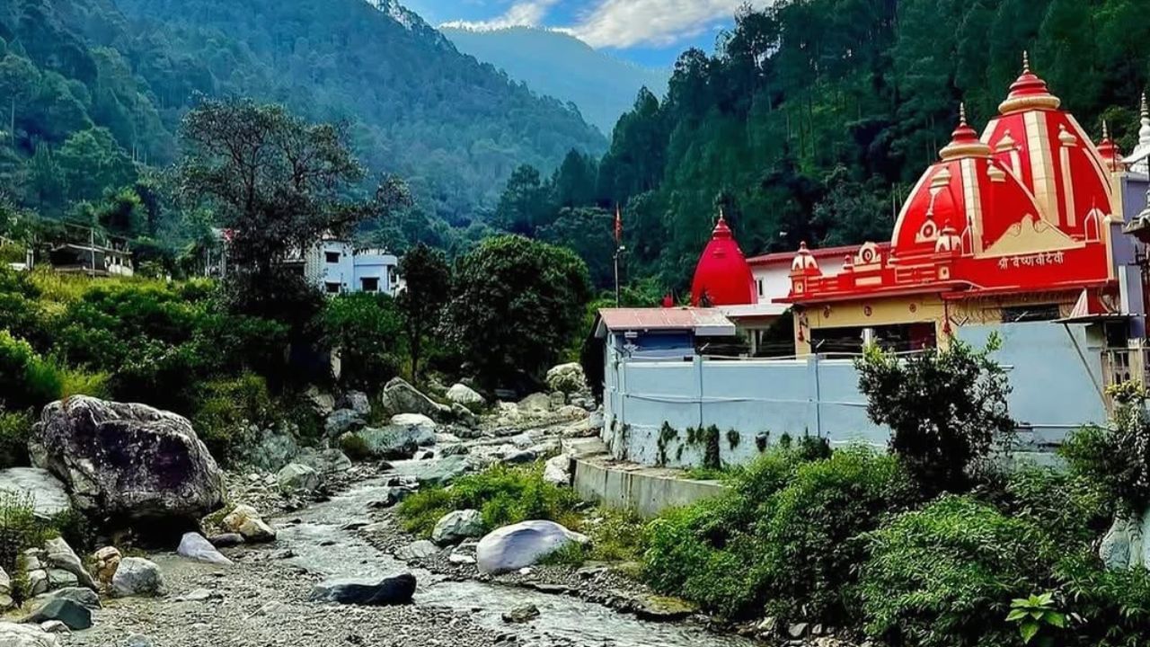 Neem karoli baba family tree (12)