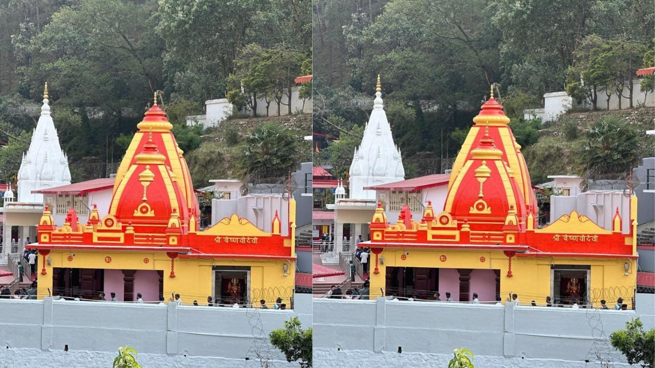 Neem karoli baba family tree (3)