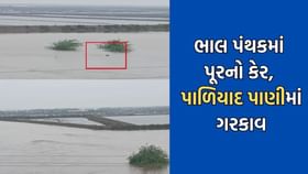 ભાવનગરના ભાલ પંથકમાં પૂરનો કહેર, પાળિયાદ ગામ પાણીમાં ગરકાવ થતા હાલાકી ભાવનગરના ભાલ પંથકમાં પૂરનો કહેર, પાળિયાદ ગામ પાણીમાં ગરકાવ થતા હાલાકી