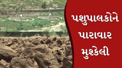 Banaskantha : ધાણધાર વિસ્તારમાં પાણીની વિકટ સમસ્યા, ખેડૂતો અને પશુપાલકોને પારાવાર મુશ્કેલી, જુઓ Video Banaskantha : ધાણધાર વિસ્તારમાં પાણીની વિકટ સમસ્યા, ખેડૂતો અને પશુપાલકોને પારાવાર મુશ્કેલી, જુઓ Video