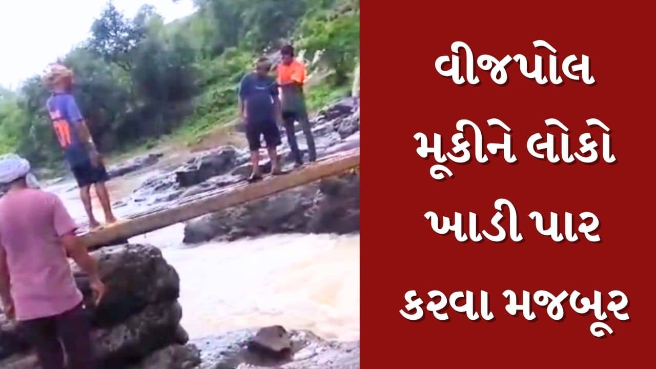 Narmada : છેવાડાના ગામોમાં વિકાસની વરવી હકીકત ! વીજપોલ મૂકીને લોકો ખાડી પાર કરવા મજબૂર, જુઓ Video