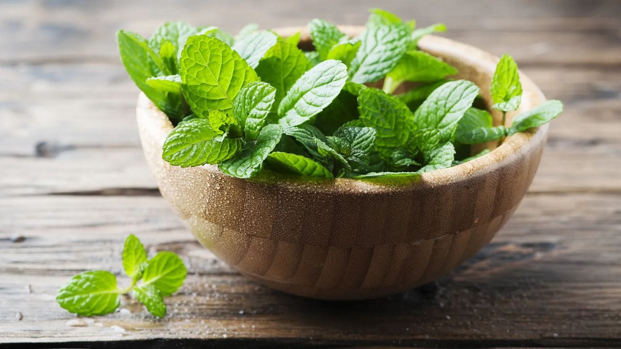 સુકવીને હવાચુસ્ત પાત્રમાં રાખો: ફૂદીનાના પાનને છાંયડામાં અથવા માઇક્રોવેવમાં સુકવી લો. પછી તેને ક્રશ કરીને હવાચુસ્ત પાત્રમાં રાખો. તમે તેનો ઉપયોગ સૂકા ફુદીનાના પાવડરના રૂપમાં કરી શકો છો. આ પદ્ધતિ આખા વર્ષ માટે ફાયદાકારક છે અને ફુદીનાનો સ્વાદ અને સુગંધ તેમાં અકબંધ રહે છે. 