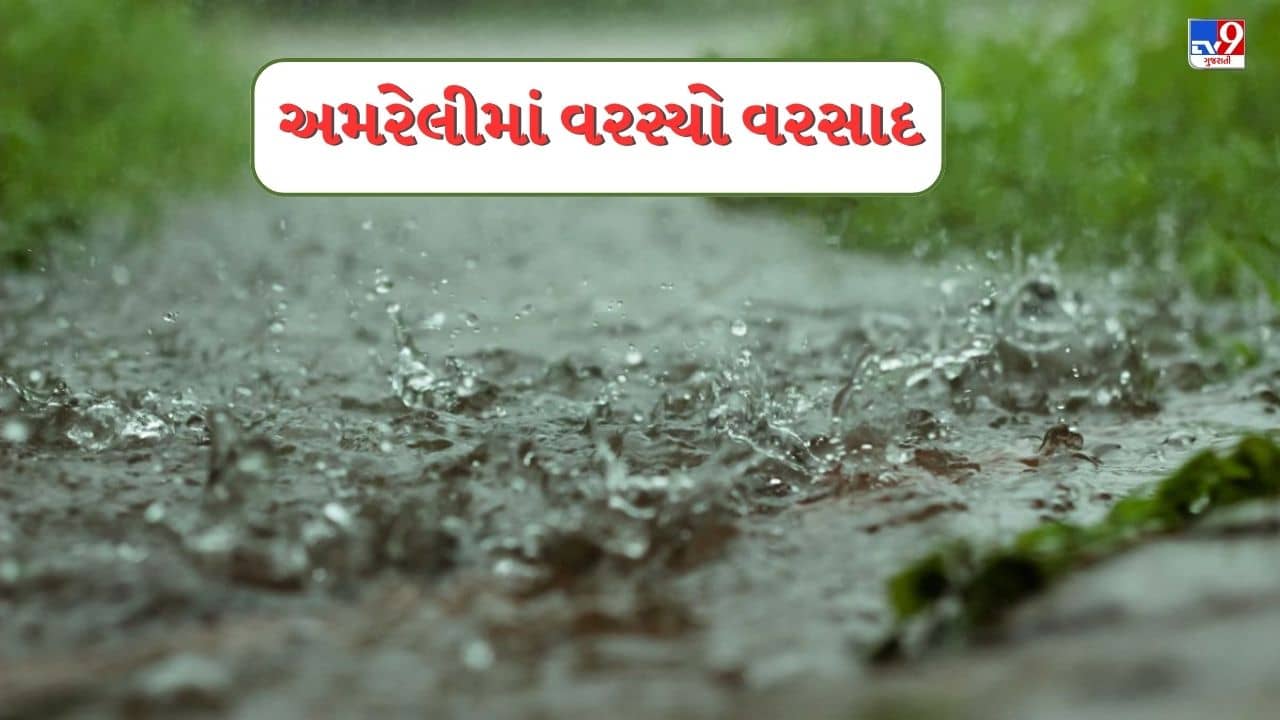 Rain : અમરેલીના ગ્રામ્ય વિસ્તારોમાં ધોધમાર વરસાદ ખાબક્યો, જુઓ Video