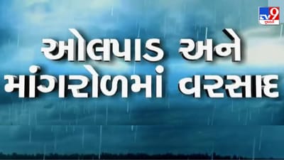 Surat Rain : ઓલપાડ અને માંગરોળમાં વરસાદી માહોલ, ડાંગર પકવતા ખેડૂતોમાં ખુશીનો માહોલ, જુઓ Video