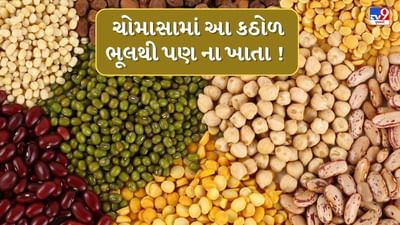 ચોમાસાની સિઝનમાં ક્યો ખોરાક ખાવો જોઈએ અને ક્યો ખોરાક ન ખાવો જોઈએ તેનું વિશેષ ધ્યાન રાખવું જોઈએ. ઘણા લોકો ફરિયાદ કરે છે કે કઠોળ ખાધા પછી તેમને ઘણીવાર પેટમાં ગેસની સમસ્યાનો સામનો કરવો પડે છે. આવી સ્થિતિમાં, ખાસ કરીને ચોમાસા દરમિયાન, ક્યાં કઠોળનું સેવન ન કરવું જોઈએ તે જાણીશું. 