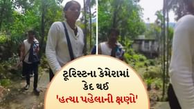 રાજા-સોનમનો એક Video Viral, પ્રવાસીના કેમેરામાં થયો કેદ રાજા-સોનમનો એક Video Viral, પ્રવાસીના કેમેરામાં થયો કેદ