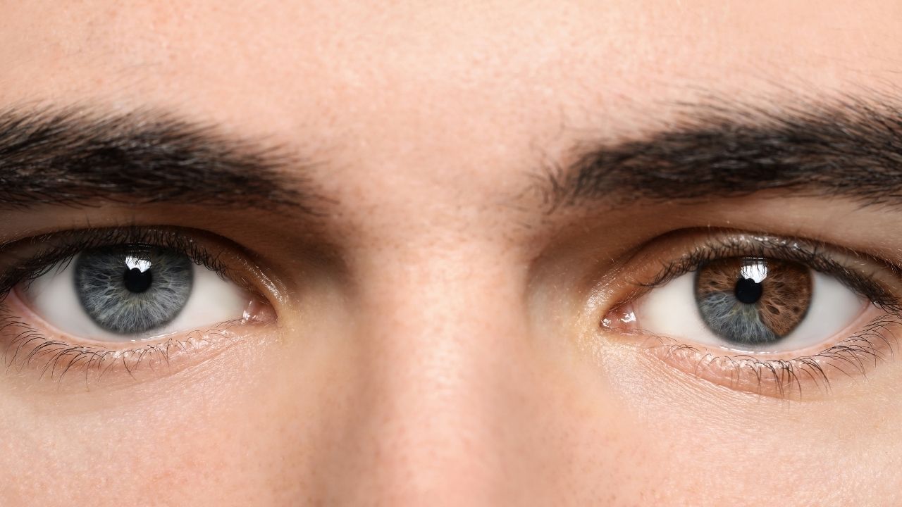 આંખોના કદ, આકાર, રંગ (Eyes: size, shape, color) : આંખોને આત્માનો અરીસો માનવામાં આવે છે. મોટી અને તેજસ્વી આંખો સંવેદનશીલતા, સહાનુભૂતિ અને સર્જનાત્મકતાની નિશાની છે. નાની આંખો એકાગ્રતા અને વિશ્લેષણાત્મક વૃત્તિ દર્શાવે છે. આંખોનો રંગ વ્યક્તિત્વને પણ અસર કરે છે - ઊંડી આંખો ગંભીરતા અને આત્મ-પ્રતિબિંબ દર્શાવે છે, જ્યારે હળવી આંખો સામાજિકતા અને ખુલ્લાપણું દર્શાવે છે.