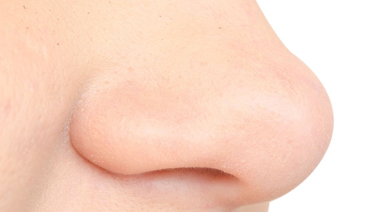 નાકની રચના (Nose structure) : નાકનો આકાર વ્યક્તિની સ્વ-ઇચ્છાશક્તિ, નેતૃત્વ ક્ષમતા અને જીવનમાં સ્થિરતાને પ્રતિબિંબિત કરે છે. સીધું અને સંતુલિત નાક નેતૃત્વ અને પ્રામાણિકતાનું પ્રતીક માનવામાં આવે છે. જો નાક પહોળું હોય, તો તે ઉદારતા અને દાનનું પ્રતીક છે, જ્યારે અણીદાર નાક વ્યક્તિની તીક્ષ્ણ વિચારસરણી અને મહત્વાકાંક્ષાને પ્રતિબિંબિત કરે છે.