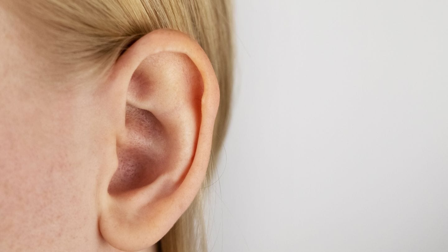 મોટા કાન ધરાવતા મોટાભાગના લોકો તકવાદી હોય છે. તેઓ કોઈપણ તકને જવા દેતા નથી. ઉપરાંત, કોઈપણ કામ કરતા પહેલા, તેઓ તેમના નફા-નુકસાનને ખૂબ સારી રીતે જુએ છે. આ લોકો કોઈપણ કામ કરતા પહેલા યોગ્ય રીતે વિચારીને જ આગળ વધે છે.(નોંધ : અહીં આપવામાં આવેલી માહિતી શાસ્ત્રોના આધારે ફક્ત આપણી જાણકારી માટે છે. દરેકની જીવન શૈલી આધારે સ્થિતિ અલગ હોય શકે છે.)   