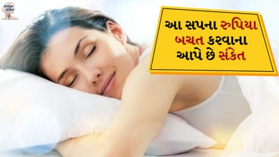 સપના આપણા જીવનનો એક મહત્વપૂર્ણ ભાગ છે. જો કે મોટાભાગના લોકો તેને ફક્ત એક સ્વપ્ન સમજીને ભૂલી જાય છે, પરંતુ સ્વપ્ન શાસ્ત્ર અનુસાર દરેક સ્વપ્ન તમને કોઈને કોઈ સંકેત આપે છે. અહીં આપણે પૈસાથી ભરેલું પર્સ જોવા વિશે વાત કરી રહ્યા છીએ.