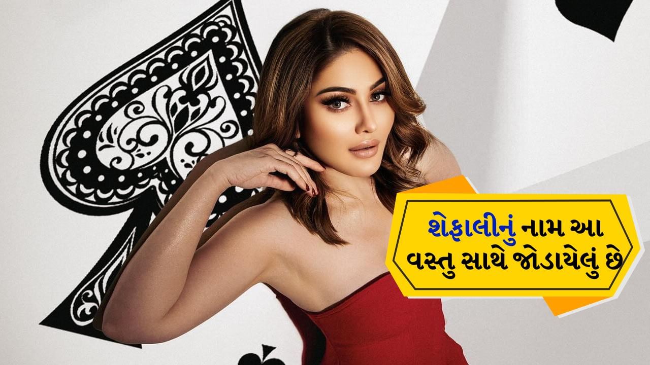 'કાંટા લગા' ગીતથી લોકોના દિલ પર રાજ કરનાર શેફાલી જરીવાલા હવે રહ્યા નથી. તેમનું 42 વર્ષની ઉંમરે કાર્ડિયાક અરેસ્ટને કારણે અવસાન થયું. તેમના મૃત્યુના સમાચારે બધાને ચોંકાવી દીધા છે. તેમના અનોખા નામને કારણે, તેમણે તેમની સુંદરતાથી લોકોનું ધ્યાન પણ ખેંચ્યું હતું. જાણો શેફાલી નામનો અર્થ શું છે.