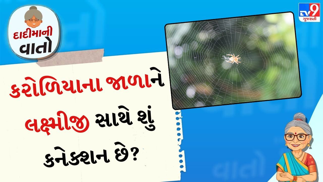સ્વચ્છતા અને શિસ્તનું પ્રતીક: ભારતીય પરંપરામાં સ્વચ્છતાને ખૂબ જ મહત્વપૂર્ણ માનવામાં આવે છે. એવું માનવામાં આવે છે કે જ્યાં સ્વચ્છતા હોય છે, ત્યાં દેવી લક્ષ્મીનો વાસ હોય છે. જ્યારે, જ્યાં ગંદકી હોય છે, ત્યાં દેવી અલક્ષ્મીનો વાસ હોય છે, જે ગરીબી અને નેગેટિવ એનર્જી લાવે છે. કરોળિયાનું જાળું એ સંકેત છે કે ઘર લાંબા સમયથી સાફ કરવામાં આવ્યું નથી અથવા લોકો ઘરની સંભાળ રાખવામાં બેદરકાર છે. આવા વાતાવરણમાં પોઝિટિવ એનર્જીનો પ્રવાહ ઓછો થાય છે, જે જીવનમાં અવરોધો પેદા કરી શકે છે.

