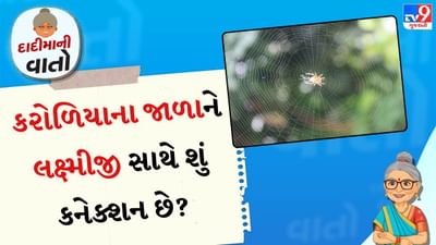 સ્વચ્છતા અને શિસ્તનું પ્રતીક: ભારતીય પરંપરામાં સ્વચ્છતાને ખૂબ જ મહત્વપૂર્ણ માનવામાં આવે છે. એવું માનવામાં આવે છે કે જ્યાં સ્વચ્છતા હોય છે, ત્યાં દેવી લક્ષ્મીનો વાસ હોય છે. જ્યારે, જ્યાં ગંદકી હોય છે, ત્યાં દેવી અલક્ષ્મીનો વાસ હોય છે, જે ગરીબી અને નેગેટિવ એનર્જી લાવે છે. કરોળિયાનું જાળું એ સંકેત છે કે ઘર લાંબા સમયથી સાફ કરવામાં આવ્યું નથી અથવા લોકો ઘરની સંભાળ રાખવામાં બેદરકાર છે. આવા વાતાવરણમાં પોઝિટિવ એનર્જીનો પ્રવાહ ઓછો થાય છે, જે જીવનમાં અવરોધો પેદા કરી શકે છે.
