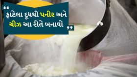 ફાટેલા દૂધથી પનીર અને ચીઝ બનાવો, તેનું પાણી પણ નહીં જાય વેસ્ટ ફાટેલા દૂધથી પનીર અને ચીઝ બનાવો, તેનું પાણી પણ નહીં જાય વેસ્ટ