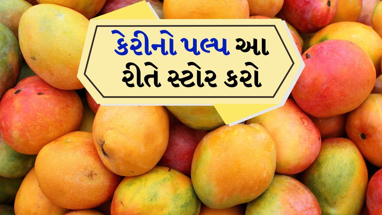 ઉનાળાની ઋતુ આવતાની સાથે જ દરેકના હોઠ પર એક જ નામ હોય છે - કેરી. પરંતુ દર વર્ષે એક સમસ્યા આવે છે તે છે કેરીનું ઝડપથી બગડવું. ઘણી વખત આપણે બજારમાંથી વધુ કેરી ખરીદીએ છીએ અથવા એક જ સમયે ઝાડ પરથી ઘણી બધી કેરી પાકી જાય છે. આવી સ્થિતિમાં, જો તેને યોગ્ય રીતે સંગ્રહિત ન કરવામાં આવે, તો થોડા દિવસોમાં તે સડવા લાગે છે, પાણી છોડવા લાગે છે અથવા ખાટી થઈ જાય છે.