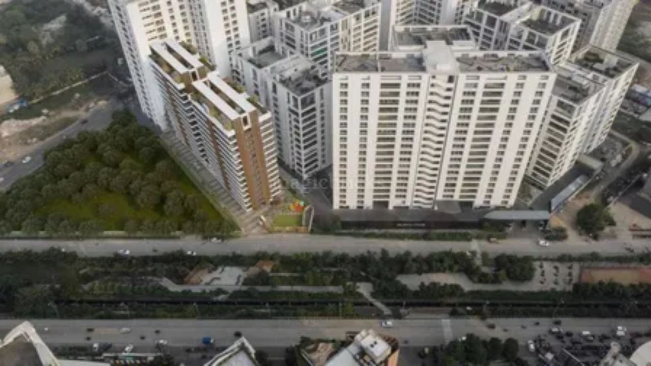 અહીંના કેનલ રોડ પરનું લોકપ્રિય સ્ટ્રીટ ફૂડ વેસુને વૈભવી હોવા છતાં લોકલ સ્વાદના અહેસાસથી ભરપૂર બનાવે છે.