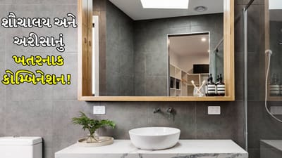 Vastu Tips: શૌચાલય અને અરીસાનું ખતરનાક કોમ્બિનેશન! જાણો તે કરિયર અને માન-સન્માનને કેવી રીતે કરે છે અસર