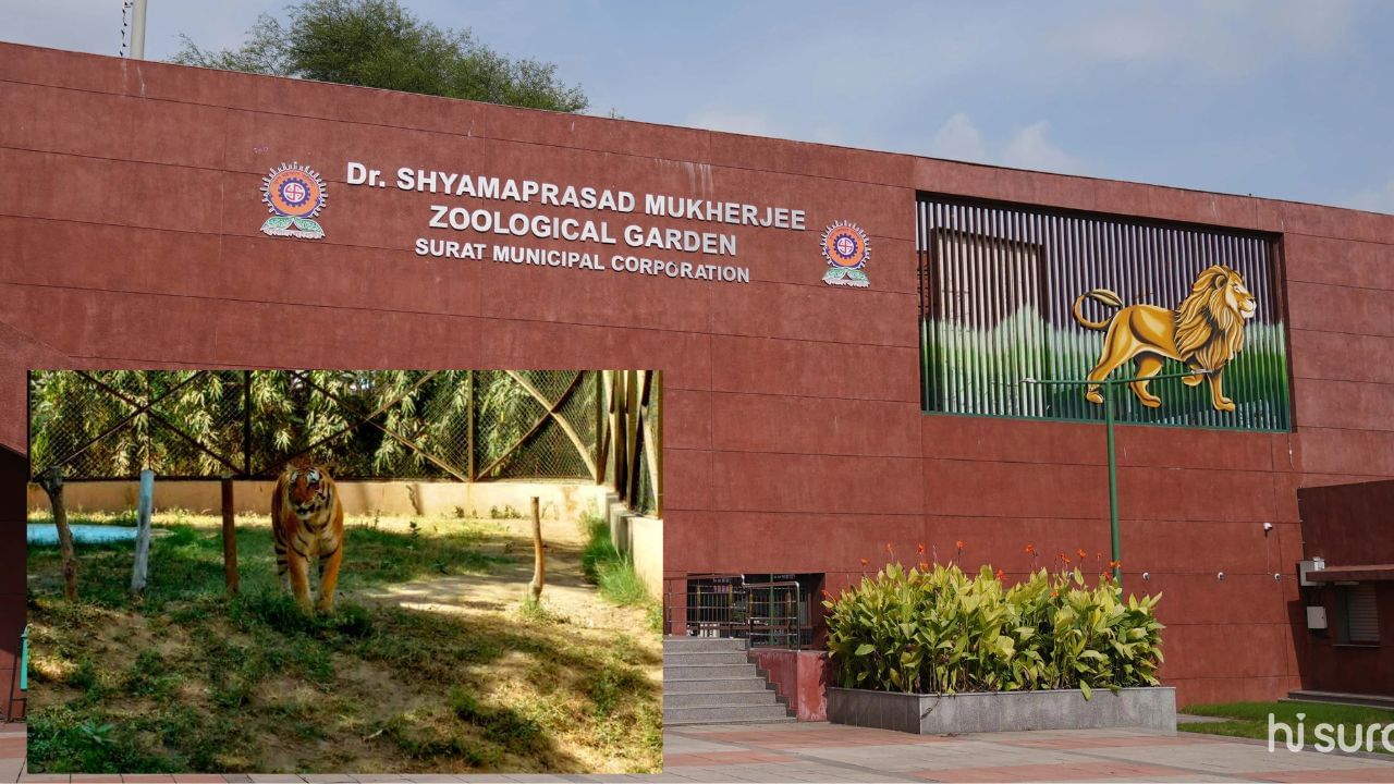 સરથાણા પાર્ક બાળકોનું ફેવરિટ ડેસ્ટિનેશન છે. સરથાણા પાર્ક  સુરત મહાનગરપાલિકા દ્વારા સંચાલિત છે.જે ગુજરાતના પ્રવાસીઓ માટે એક લોકપ્રિય આકર્ષણનું કેન્દ્ર છે.આ ઉદ્યાન 81 એકર જેટલા વિસ્તારમાં ફેલાયેલો છે