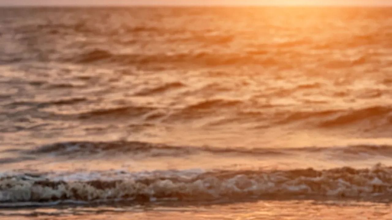 જ્યારે સુરતની આસપાસ ફરવા માટે કેટલાક અદ્ભુત અને મનોહર સ્થળોની વાત આવે છે, ત્યારે ઘણા લોકો પહેલા હજીરાનું નામ લે છે. તાપી નદીના કિનારે સ્થિત હજીરા, સમગ્ર ભારતમાં એક મુખ્ય બંદર તરીકે જાણીતું છે. અહી દરરોજ એક ડઝનથી વધુ જહાજો અહીંથી આવે છે અને જાય છે. હજીરાથી અરબી સમુદ્ર અને પર્શિયન ગલ્ફની સુંદરતા જોઈ શકાય છે. તમે અહીં વોટર સ્પોર્ટ્સનો પણ આનંદ માણી શકો છો.