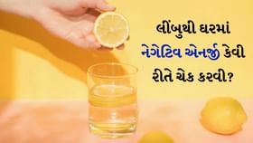 Negative Energy: લીંબુથી ઘરમાં નેગેટિવ એનર્જી કેવી રીતે ચેક કરવી? Negative Energy: લીંબુથી ઘરમાં નેગેટિવ એનર્જી કેવી રીતે ચેક કરવી?