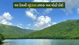 90 વર્ષ જુનો જુનાગઢનો આ ઐતિહાસિક ધરોહર સમાન ડેમ આજે પણ ઉભો છે અડીખમ 90 વર્ષ જુનો જુનાગઢનો આ ઐતિહાસિક ધરોહર સમાન ડેમ આજે પણ ઉભો છે અડીખમ