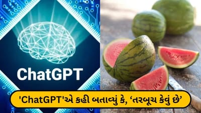 'ChatGPT'એ તો ખરો ખેલ કર્યો ! 'તરબૂચ કેવું નીકળશે' તે કહી બતાવ્યું