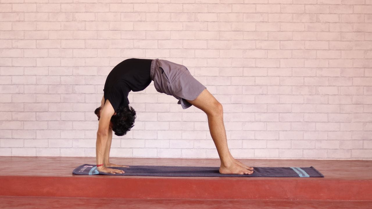 ચક્રાસન: જ્યારે તમે આ યોગ આસનનો અભ્યાસ કરો છો, ત્યારે તે તમારા પેટ, હિપ્સ, કરોડરજ્જુ, ખભાના બ્લેડ પર પીઠના નીચેના ભાગ અને હાથ સુધી કામ કરે છે. તેમને મજબૂત બનાવે છે અને કમરને ફ્લેક્સિબલ બનાવે છે. જે કરોડરજ્જુને સીધી કરવામાં મદદ કરે છે.
