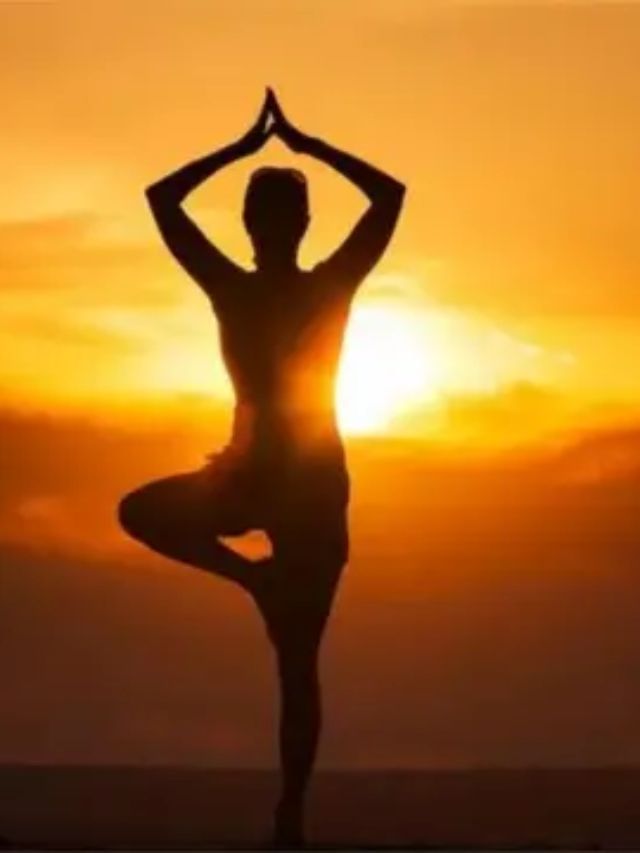 Yoga Day : કસરત કરવાની નથી ગમતી ? બેઠા-બેઠા કરો આ યોગ મુદ્રાઓ Yoga Day : કસરત કરવાની નથી ગમતી ? બેઠા-બેઠા કરો આ યોગ મુદ્રાઓ