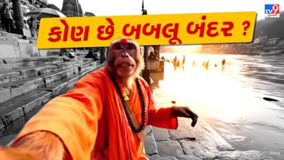 ભારતમાં ફરે છે, દેશી બોલે છે, કોણ છે સોશિયલ મીડિયા પર ખુબ ફેમસ થયેલો બબલુ બંદર ?