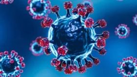 ગુજરાતમાં કોરોનાના નવા 95 સાથે કુલ 397 કેસ નોંધાયા