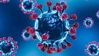 Breaking News : ગુજરાતમાં કોરોનાના નવા 95 સાથે કુલ 397 કેસ નોંધાયા