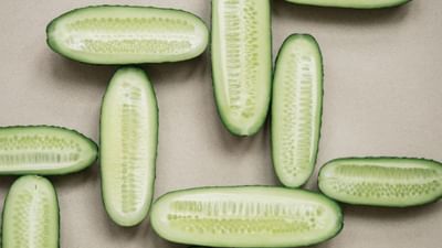 ખીરા કાકડીમાં પેક્ટીન નામનું વિશિષ્ટ ફાઇબર હોય છે, જે આંતરડાની ગતિને સરળ બનાવે છે. તેમાં રહેલું વધારાનું પાણી ખોરાકને સહેલાઈથી પચાવવામાં મદદરૂપ બને છે અને મલ અવરોધ વિના બહાર નીકળી શકે છે. કાકડીમાં રહેલા ફાઇબરથી પાચન પ્રક્રિયા સુધરે છે. (Credits: - Canva)